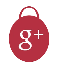 Google+
