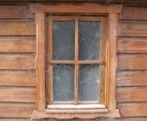 fenster putzen