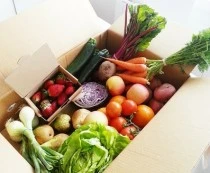 rohkost ernährung